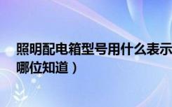 照明配电箱型号用什么表示?（照明配电箱执行标准是什么哪位知道）