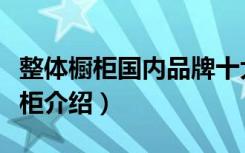 整体橱柜国内品牌十大排名（国内十大整体橱柜介绍）