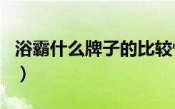 浴霸什么牌子的比较性价比高（中国浴霸排名）