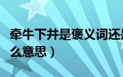 牵牛下井是褒义词还是贬义词（牵牛下井是什么意思）