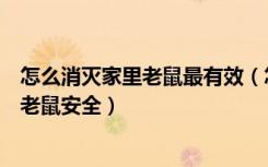 怎么消灭家里老鼠最有效（怎样灭家里老鼠家居那种方法灭老鼠安全）