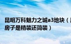 昆明万科魅力之城a3地块（昆明万科魅力之城一期a3号地块房子是精装还简装）