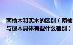 南榆木和实木的区别（南榆木(檫木)比老榆木材质差吗榆木与檫木具体有些什么差别）