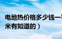 电地热价格多少钱一平方（电地热多少钱一平米有知道的）