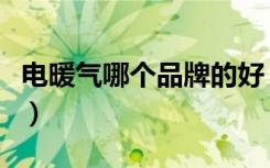 电暖气哪个品牌的好（问一下电暖气啥牌子好）