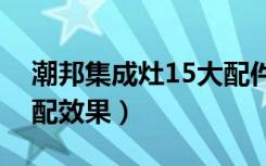 潮邦集成灶15大配件（潮邦集成灶与橱柜搭配效果）