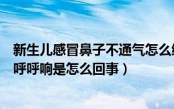 新生儿感冒鼻子不通气怎么缓解（新生儿感冒鼻子不通气还呼呼响是怎么回事）