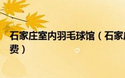 石家庄室内羽毛球馆（石家庄哪里可以室内打羽毛球怎么收费）