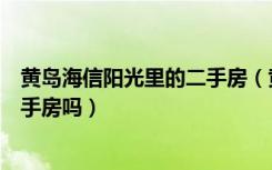 黄岛海信阳光里的二手房（黄岛海信阳光里二期一号楼有二手房吗）