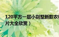 120平方一层小别墅新款农村（15.8米×13.8米二层别墅图片大全欣赏）