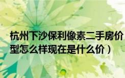 杭州下沙保利像素二手房价（杭州的保利像素在下沙哪里户型怎么样现在是什么价）