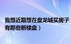 我想近期想在盘龙城买房子（问一下现在那里那个楼盘好点 有那些新楼盘）