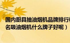 国内厨具抽油烟机品牌排行榜前十名（世界厨房电器十大排名吸油烟机什么牌子好呢）