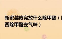 新家装修完放什么除甲醛（刚装修完的新房需要放些什么东西除甲醛去气味）