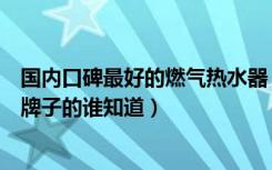 国内口碑最好的燃气热水器（口碑最好的燃气热水器是哪个牌子的谁知道）