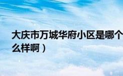 大庆市万城华府小区是哪个街道?（大庆万城华府的房子怎么样啊）