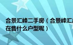 合景汇峰二手房（合景峰汇户型的房子户型设计怎么样现在在售什么户型呢）