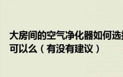 大房间的空气净化器如何选择我家比较大一般的空气净化器可以么（有没有建议）