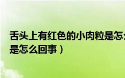 舌头上有红色的小肉粒是怎么回事（舌头上有红色的小肉粒是怎么回事）