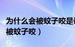 为什么会被蚊子咬是说明智商高吗（为什么会被蚊子咬）