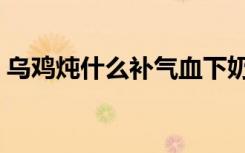 乌鸡炖什么补气血下奶（乌鸡炖什么补气血）