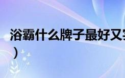 浴霸什么牌子最好又实惠（浴霸什么牌子最好）