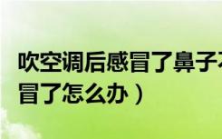 吹空调后感冒了鼻子不通流鼻涕（吹空调后感冒了怎么办）