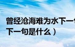 曾经沧海难为水下一句幽默（曾经沧海难为水下一句是什么）