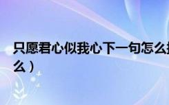 只愿君心似我心下一句怎么接（只愿君心似我心下一句是什么）