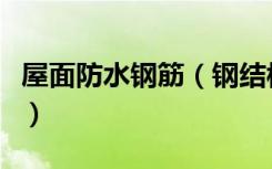 屋面防水钢筋（钢结构屋面防水涂料怎么施工）