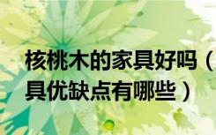 核桃木的家具好吗（什么是核桃木,核桃木家具优缺点有哪些）