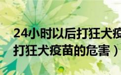 24小时以后打狂犬疫苗有效吗（超过72小时打狂犬疫苗的危害）