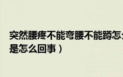 突然腰疼不能弯腰不能蹲怎么回事（女性突然腰疼不能弯腰是怎么回事）