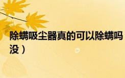 除螨吸尘器真的可以除螨吗（家庭除螨用除螨吸尘器有效果没）