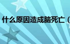 什么原因造成脑死亡（脑死亡是怎么造成的）