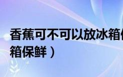 香蕉可不可以放冰箱保鲜（香蕉可不可以放冰箱保鲜）