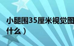 小腿围35厘米视觉图片（35cm的小腿视觉是什么）