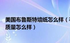 美国布鲁斯特墙纸怎么样（布鲁斯特壁纸如何布鲁斯特壁纸质量怎么样）