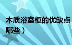 木质浴室柜的优缺点（实木浴室柜的优缺点有哪些）