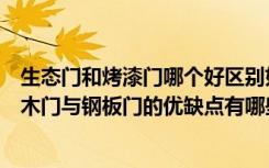 生态门和烤漆门哪个好区别如何（实木门好还是钢板门好实木门与钢板门的优缺点有哪些）