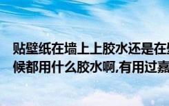 贴壁纸在墙上上胶水还是在壁纸上好（大家装修贴壁纸的时候都用什么胶水啊,有用过嘉力丰糯米胶的吗）