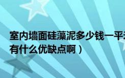 室内墙面硅藻泥多少钱一平米（硅藻泥背景墙多少钱一平方有什么优缺点啊）