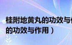 桂附地黄丸的功效与作用同仁堂（桂附地黄丸的功效与作用）