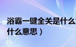 浴霸一键全关是什么意思（浴霸上印有nds是什么意思）