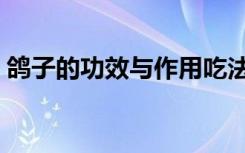 鸽子的功效与作用吃法（鸽子的功效与作用）