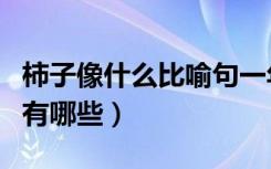 柿子像什么比喻句一年级（柿子像什么比喻句有哪些）