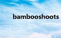 bambooshoots（bambook官网）