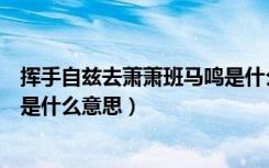 挥手自兹去萧萧班马鸣是什么意思（挥手自兹去萧萧班马鸣是什么意思）