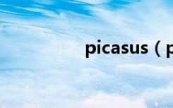 picasus（picasa教程）