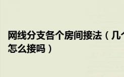 网线分支各个房间接法（几个卧室都要用网线,知道网线接法怎么接吗）